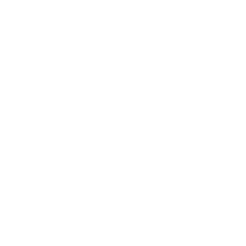 Steve Gurnett Woodcarving Logo